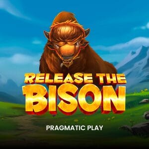 Release the Bison game thumbnail